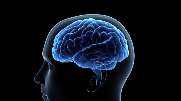 お酒を飲みたくなる「トリガー」を知る