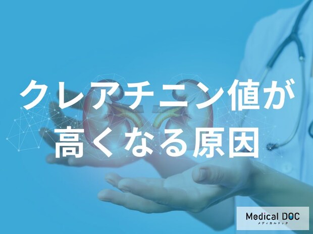 クレアチニン値が高い原因は腎臓病だけじゃない?意外な原因と対策【医師解説】