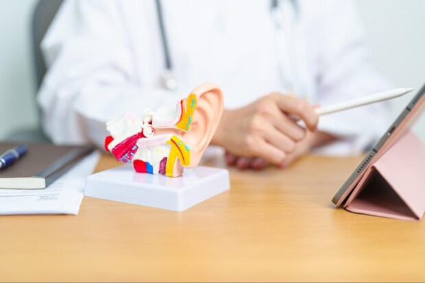 メニエール病の原因<