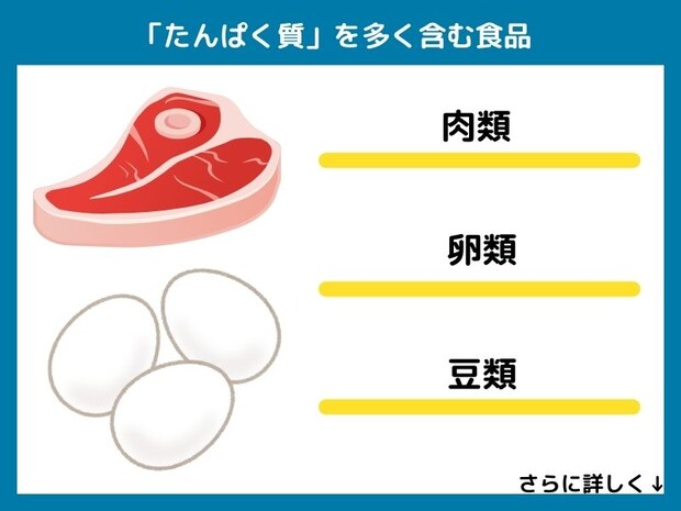 たんぱく質を多く含む食品