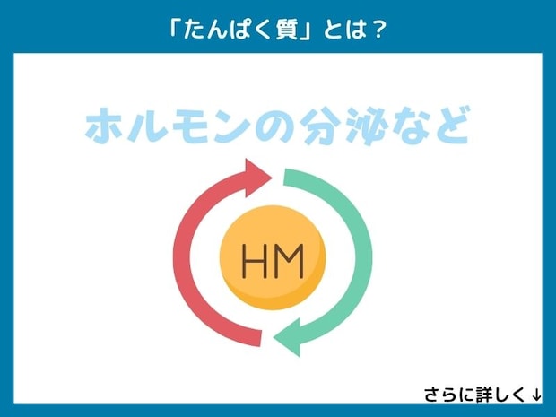 「たんぱく質」とは?