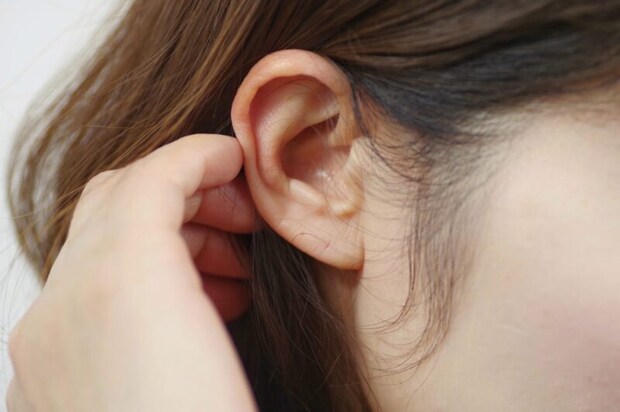女性の耳