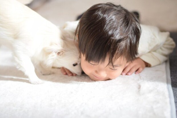 犬と仲良しの子供