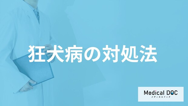 「狂犬病の治療法」は確立されてない?噛まれた時の対処法を医師が解説!