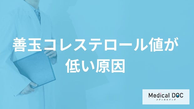 「善玉コレステロール値が低くなる5つの原因」はご存知ですか？医師が徹底解説！