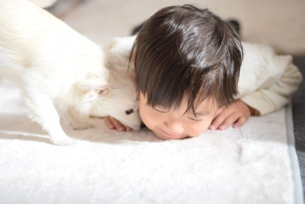 犬と仲良しの子供