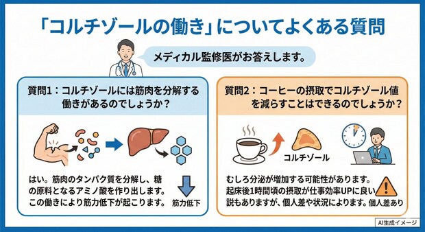 「コルチゾールの働き」についてよくある質問