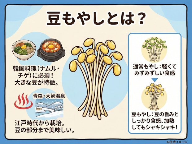 豆もやしとは？