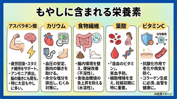 もやしに含まれる栄養素