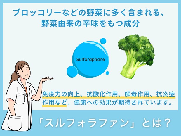 「スルフォラファン」とは？