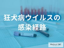 狂犬病は“ヒトからヒト”にうつる？ 2つの感染ルートと知っておきたいリスクを医師が解説