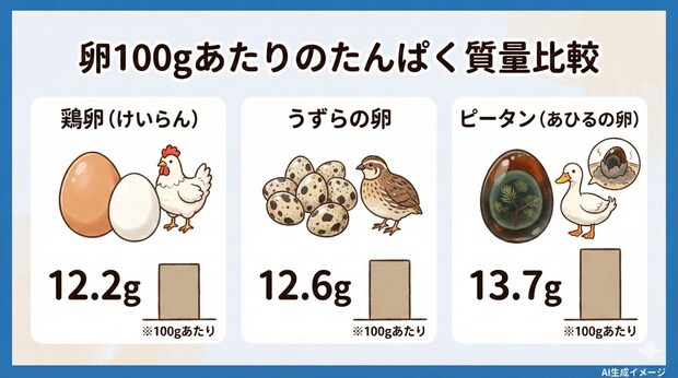 卵1個のたんぱく質量はどれくらい？
