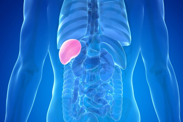 1型糖尿病の基礎知識