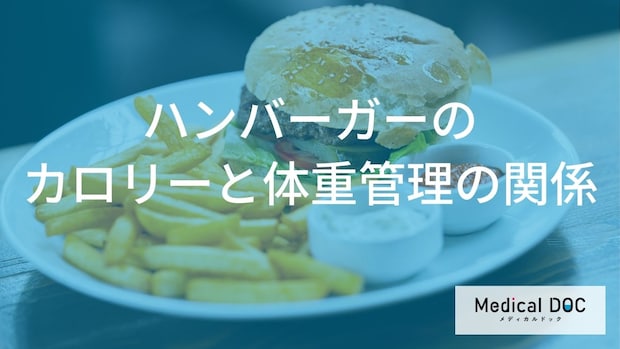 「ハンバーガー」1個あたりの平均カロリーはご存知ですか？セットメニューのカロリーも解説！