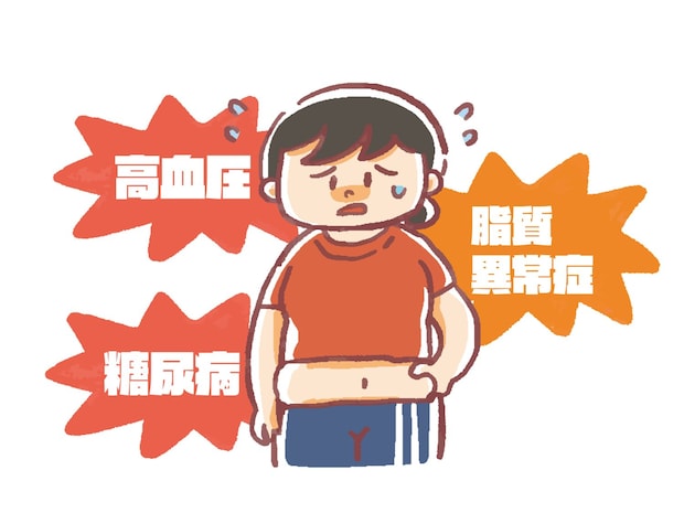 見た目だけじゃない！ 肥満症が体に与える影響とは