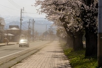 【闘病】「ただの疲れ」ではなかった… 10年続いた“めまい”の正体は『神経の難病』