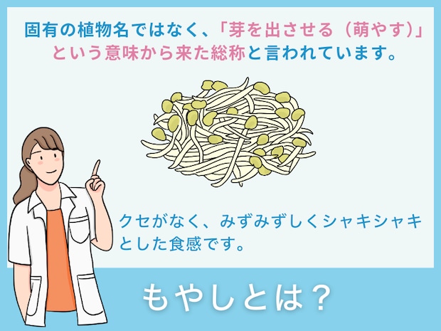 「もやし」とは？