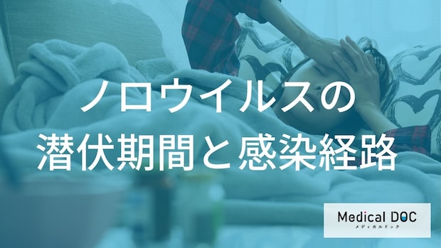 『ノロウイルス』の潜伏期間は24〜48時間? 感染経路と家族を守る予防対策
