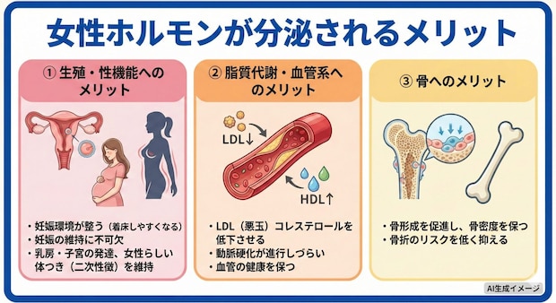 女性の体内で女性ホルモンが分泌されるとどんなメリットがある?