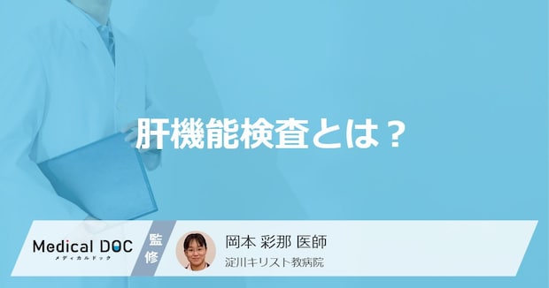 「肝機能検査」で何がわかる？どんな検査を行うかも医師が解説！