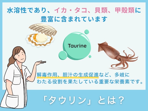 「タウリン」とは？