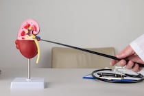 ｢健康診断で腎機能障害を指摘」その後にやるべきことを知っていますか？ 沈黙の臓器“腎臓”の機能について