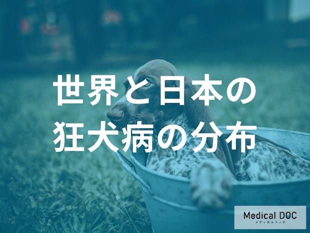 海外で犬に咬まれたらどうする？ 「狂犬病」の発症を防ぐための2つの緊急処置を医師が解説