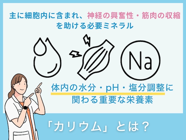 「カリウム」とは？