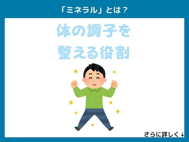 「ミネラル」とは？