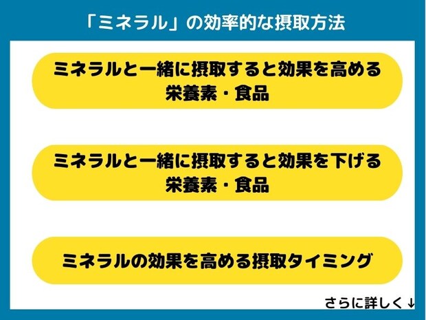 ミネラルの効率的な摂取方法