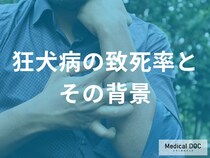 「狂犬病」の致死率が“ほぼ100％”といわれる理由とは？ 3つの特徴を併せて医師が解説