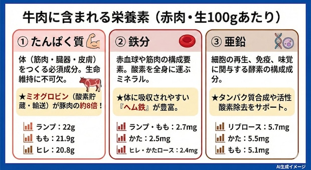 牛肉のカロリーに含まれる栄養素