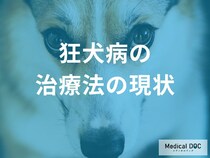 「狂犬病」の治療法はなぜ確立されていない？ 標準治療が存在しない理由と対症療法を医師が解説