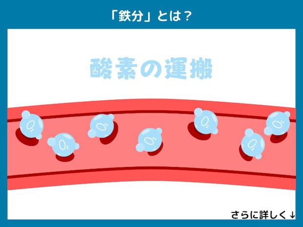 「鉄分」とは？