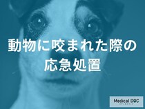 動物に咬まれたらどうすればいい？ 「狂犬病」のリスクを下げる15分間の洗浄方法とは【医師監修】