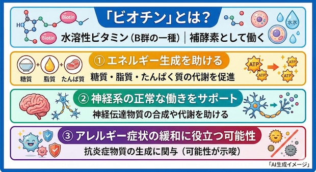「ビオチン」とは？
