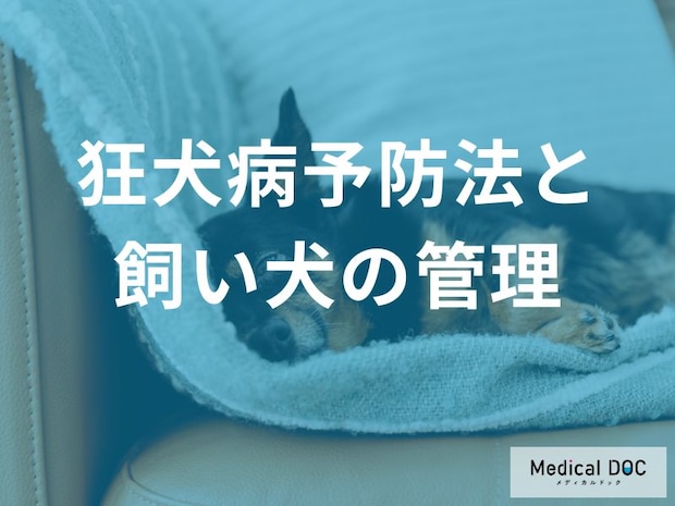 「狂犬病」の予防接種はなぜ“毎年”必要なの？ 義務化されている理由と未接種の3つのリスクを解説