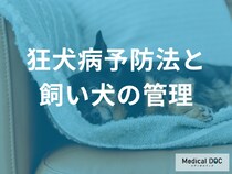 「狂犬病」の予防接種はなぜ“毎年”必要なの？ 義務化されている理由と未接種の3つのリスクを解説