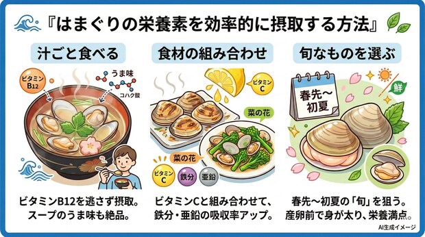 はまぐりの栄養素を効率的に摂取する方法
