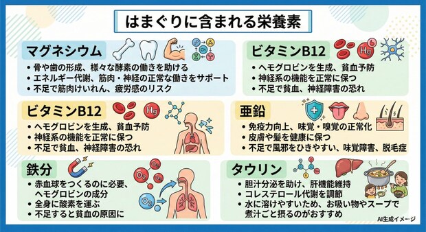 はまぐりに含まれる栄養素