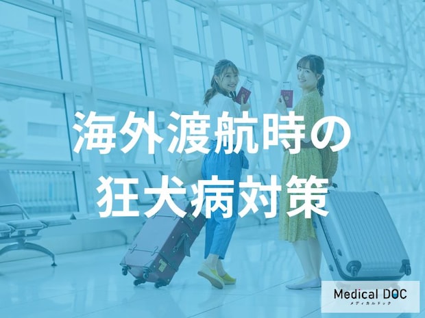 海外旅行前に必読！ 「狂犬病」から身を守るための“事前準備”3つのポイントとは【医師監修】