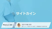 「サイトカイン」とは？働きが悪くなると「全身性エリテマトーデス」を発症するの？