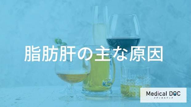 お酒を飲まないのに「脂肪肝」になるのはなぜ？ 意外な原因と進行リスクを医師が解説