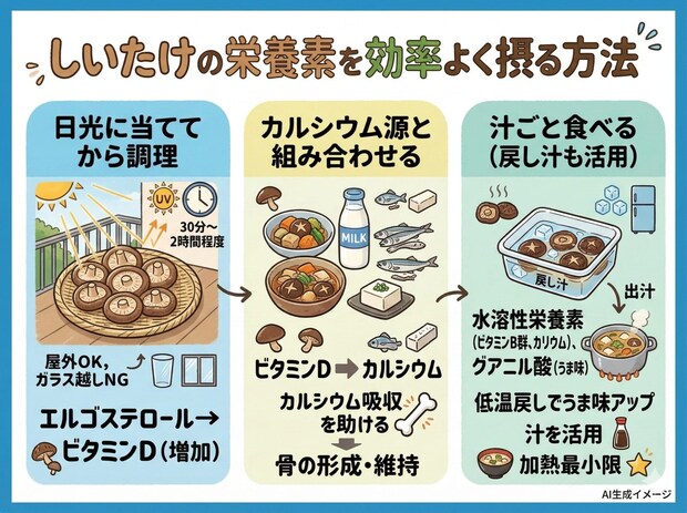 しいたけの栄養素を効率的に摂取する方法