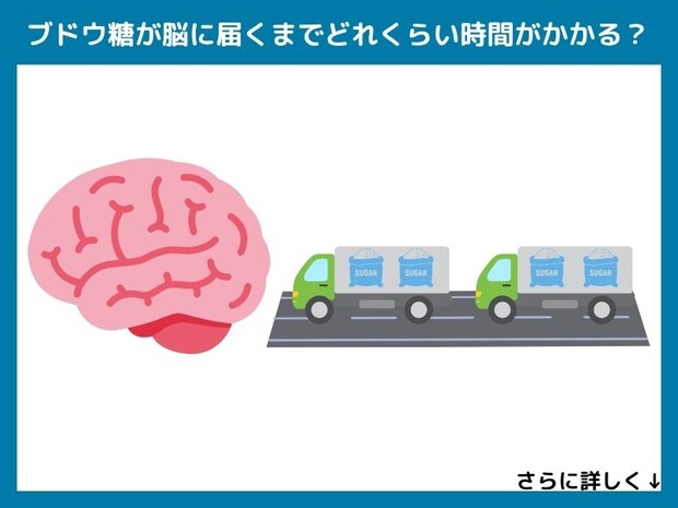 ブドウ糖が脳に届くまでどれくらい時間がかかる？