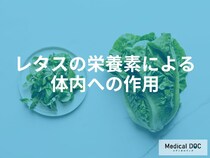 細胞のサビを撃退！レタスに潜む「3つの抗酸化成分」と骨を強くするビタミンKの相乗効果