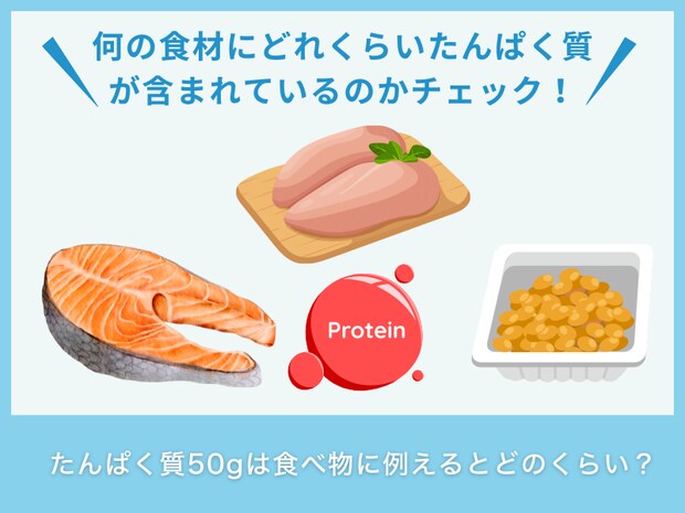 たんぱく質50gは食べ物に例えるとどのくらい？