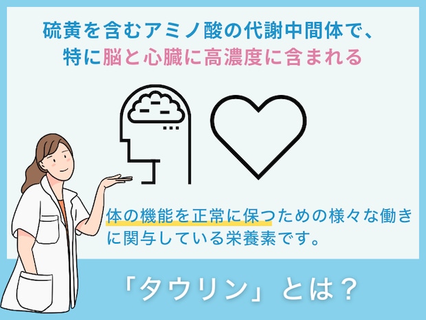 「タウリン」とは?