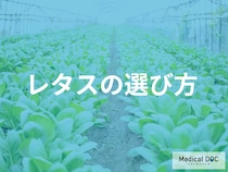 レタスの栄養を逃さない選び方｜「重い＝良質」は誤解？管理栄養士が教える3つの鮮度基準