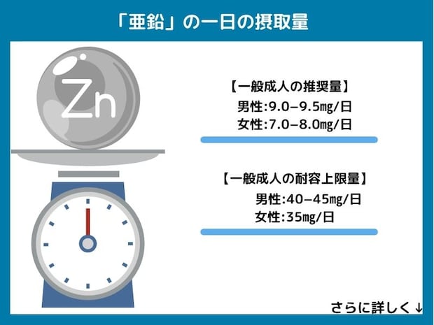 亜鉛の一日の摂取量